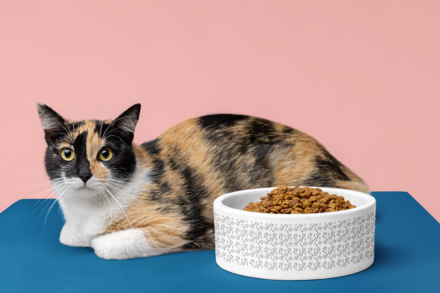 Cute Cat Pattern Ceramic Pet Bowl (Mascot Theme)
