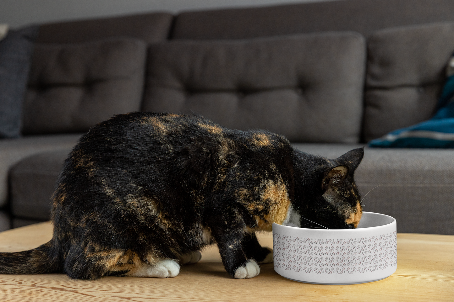 Cute Cat Pattern Ceramic Pet Bowl (Mascot Theme)